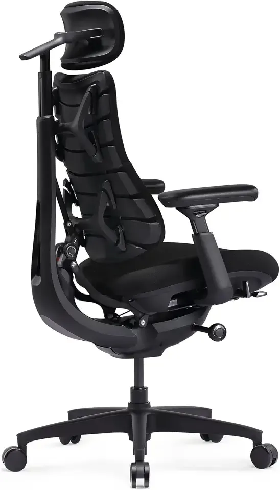 LiberNovo Omni SE Dynamic Ergonomic Office Chair, Manual Lumbar, 48cm | Chair Only, 105°-160° Five Recline Positions for Back Comfort, Dynamic Support, Desk Chair for Long Hours Use, Obsidian