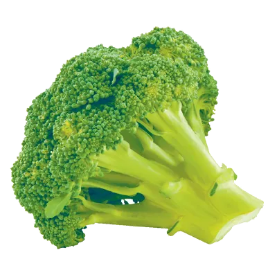 Broccoli