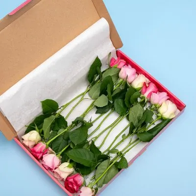 Brievenbusbloemen | Rozen | Liefdevol Roze
