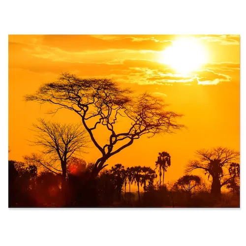 Orange Glow Of African Sunset - Extra Large Wall Art Landscape - 32X16