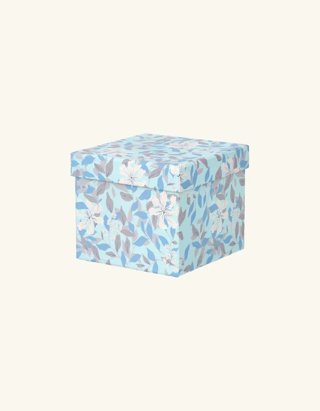 Box mit Deckel