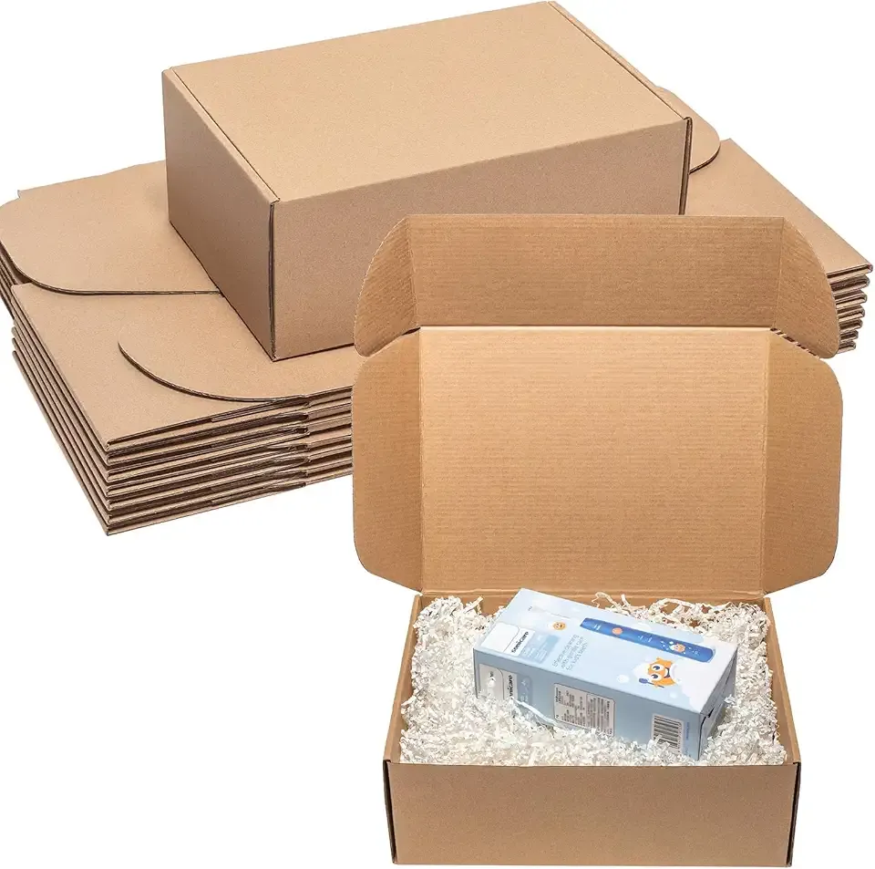 Shipping Boxes 12x9x4 Inches 20 Pack Corrugated Cardboard Mailing Boxes for Small Business, Kraft Medium Literature Mailer Packaging Supplies Brown