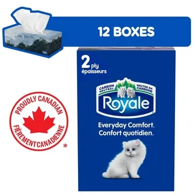 Everyday Comfort 2 Ply Facial Tissue, 12 Tissue Boxes, 100 Tissues per box