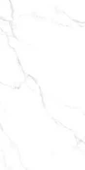 Carrara Polished 60x120 Rectified