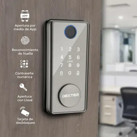 Cerrojo Smart Sencillo Ds01 Plateado con 5 Modos de Apertura