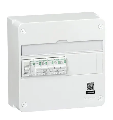 Tableau monté câblé 1 rangée 13 modules - Schneider Electric