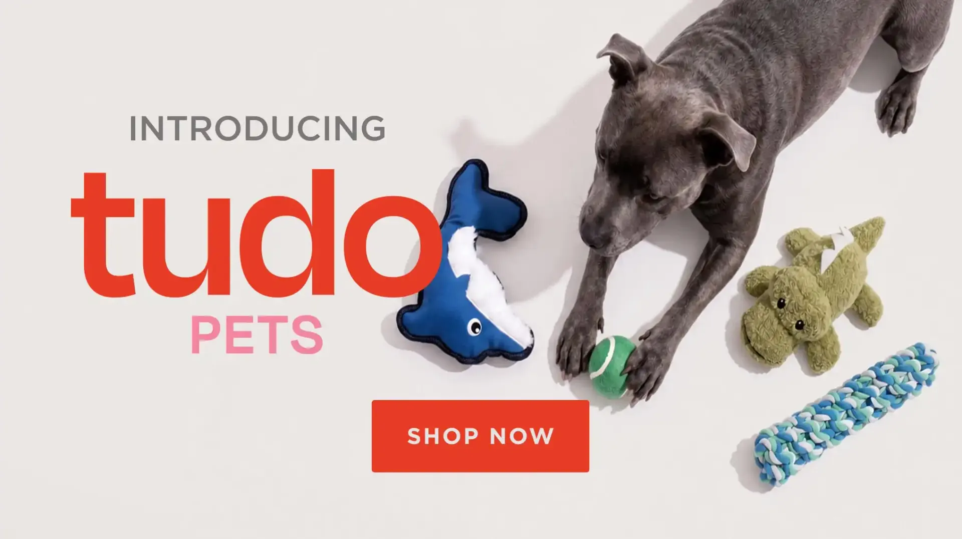 Tudo Pets Donut Delight Latex Toy