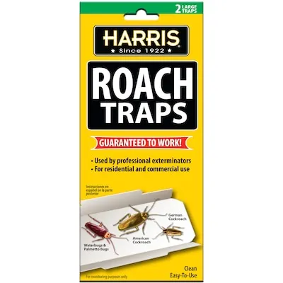 Spider and Insect Indoor Glue Glue Insect Trap 4 -Pack