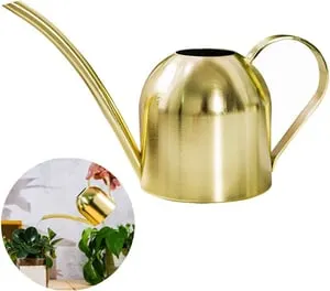 Annaffiatoio in acciaio inossidabile - Piccolo vaso per annaffiare a collo lungo per casa, interni, esterni, giardino, piante grasse - 500 ml (oro)