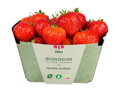 Jordbær