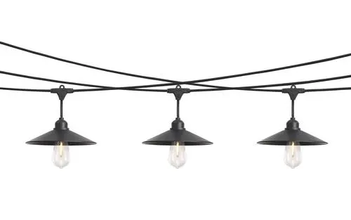 Patriot Lighting® 24' 12-Light Ivy String Light