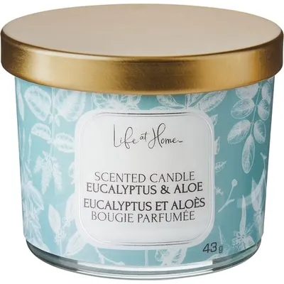 Scented Candle Eucalyptus & Aloe