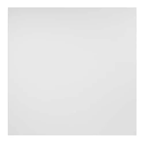 2 ft. x 2 ft. Border Fill White Ceiling Panel Carton of 12