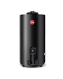 Termotanque TGNP080RH 80 Lts Gas Natural