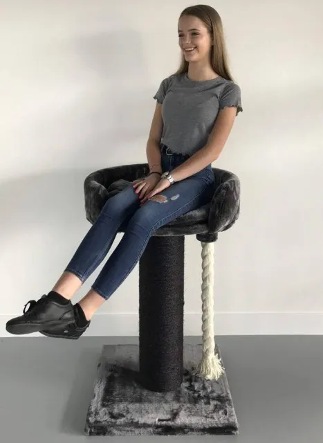 Chartreux Blackline Dark Grey