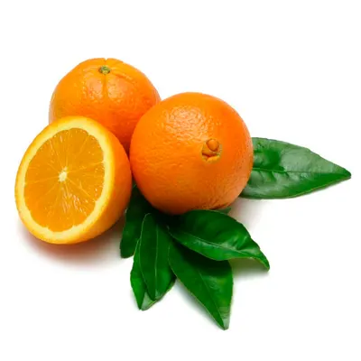 laranja bahia importada kg