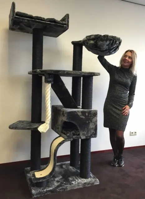 Kilimandjaro Blackline Dark Grey