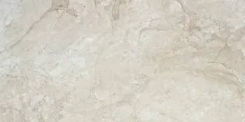 Stream Bone 60x120 Rectified