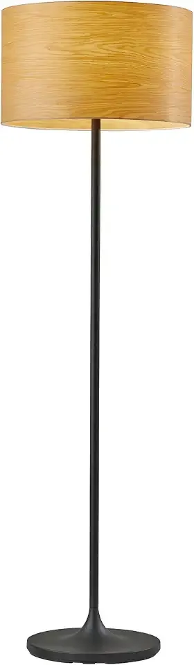 Adesso Floor Lamp, Matte Black, Scratch-Proof, Corrosion Resistant, 59.5”