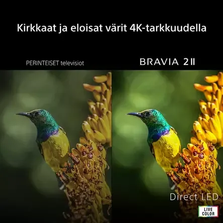 SONY 50" BRAVIA 2 II 4K GOOGLE TV