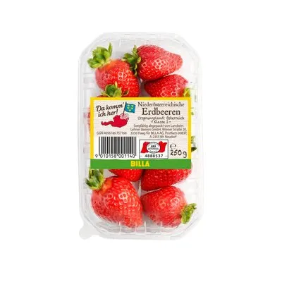 Da komm ich her! Erdbeeren