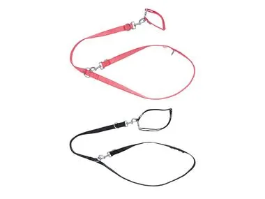 Set de collar y correa para perro pequeño