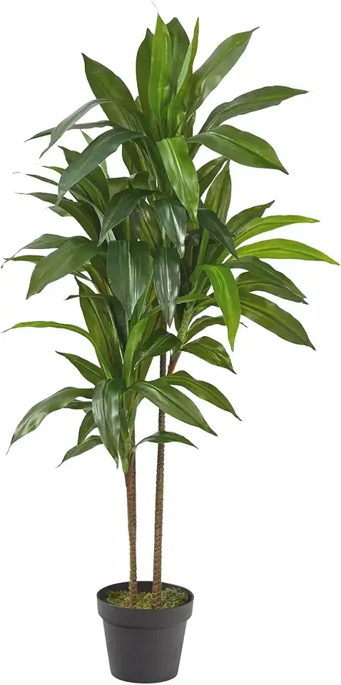 Nearly Natural 48in Artificial Dracaena with Real Touch Leaves and Multi Tonal Trunks, Large Indoor Silk Plant with Pot, Maintenance Free for Indoor Living Room and Home Office Decor