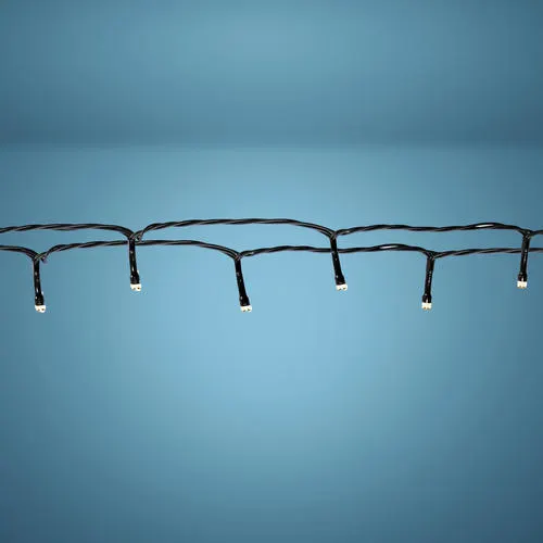 Patriot Lighting® 52' 150-Light Solar Power LED String Light