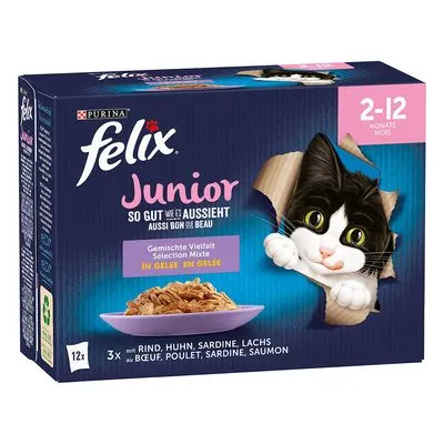 Felix Tendres Effilés Junior 12 x 85 g pour chat