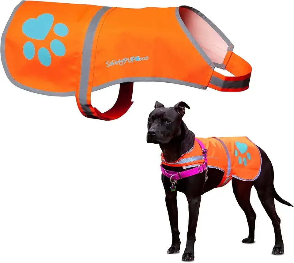 SafetyPUP XD Reflective Dog Vest. Hi-Visibility, Fluorescent Blaze Orange Dog Vest Helps Protect Your Best Friend. Safeguard Your PUP from Motorists & Hunting Accidents, On or Off Leash (Medium)