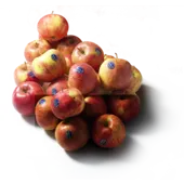 Jonagold Appels