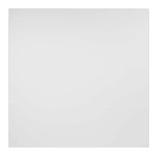 2 ft. x 2 ft. Smooth Pro White Ceiling Panel Carton of 12