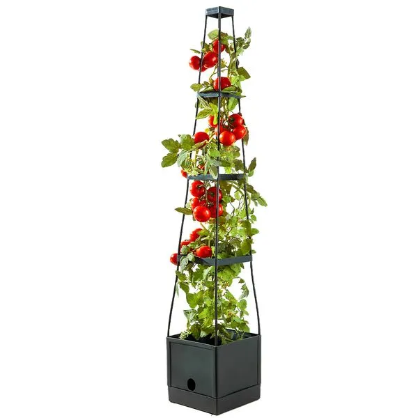 Tomatenturm aus Kunststoff, ca. 25 x 25 x 150 cm - Anthrazit