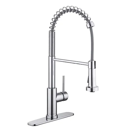 Paulina Single Handle 2-Function Spring Neck Pull-Down Sprayer Kitchen Faucet in Chrome, Valve & Deck Plate Included