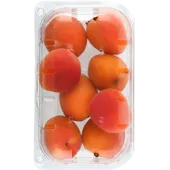 Abrikozen