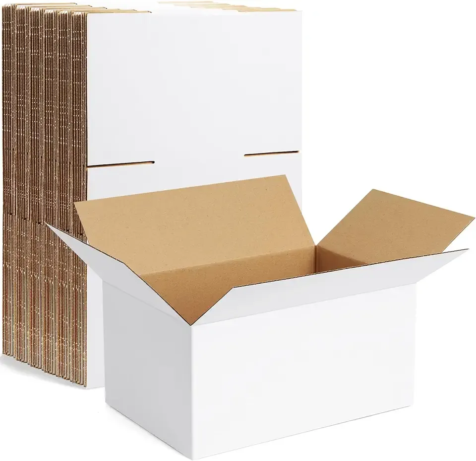 Famagic 10 Pack 10x7x5 Inch Small Shipping Boxes White Corrugated Cardboard Boxes Mailer for Small Business, Mailing Boxes for Packaging Bulk