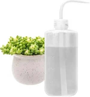 Annaffiatoio in plastica morbida per piccoli vasi di piante grasse, 500 ml