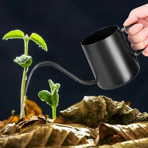 Annaffiatoio nero da 350 ml, adatto per piccole piante da interno, adatto per piante da interno e piante grasse