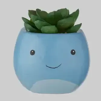 Wattle & Willow Plants Gone Wild Whale - Succulent Planter Décor