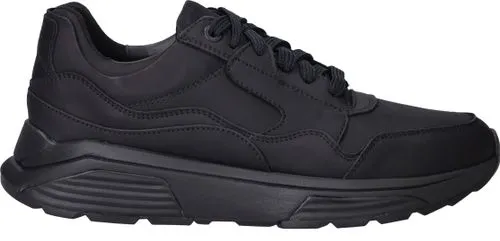 Xsensible Golden Gate Stretchwalker