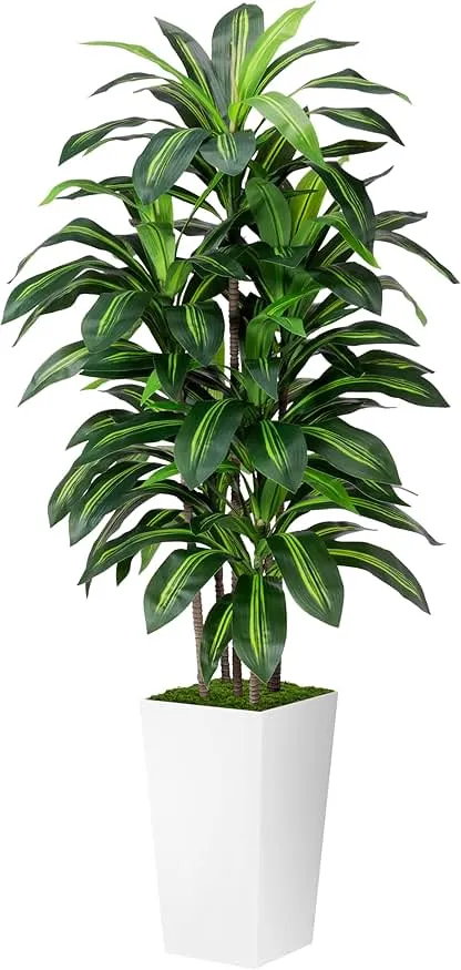 Artificial Dracaena Plant Indoor 5FT - Fake Tree with White T…