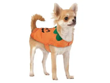 Disfraz de Halloween para perro