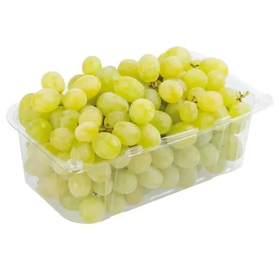 Trauben weiß kernlos