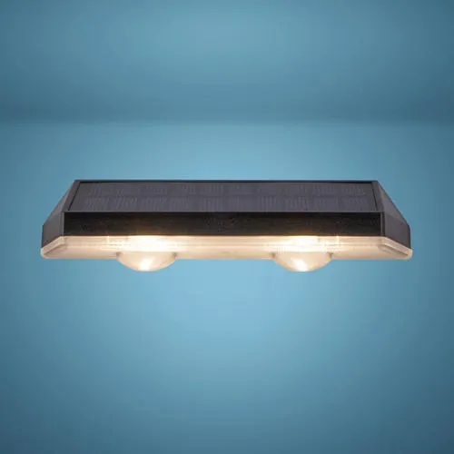 Patriot Lighting Fenix Black Dusk to Dawn Solar LED Outdoor Security Light - 2 Pack