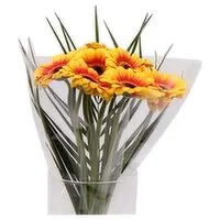 Germini Mix (1 Piece) Open Product Description