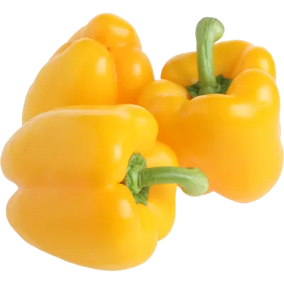 Yellow Capsicum