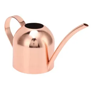 Annaffiatoio per casa Bonsai Giardino Fiore Piante da interno per esterno Vaso con beccuccio lungo Acciaio inossidabile Oro rosa