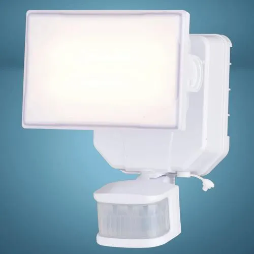 Patriot Lighting® Solar-Powered Motion Sensing LED Outdoor Security Flood Light