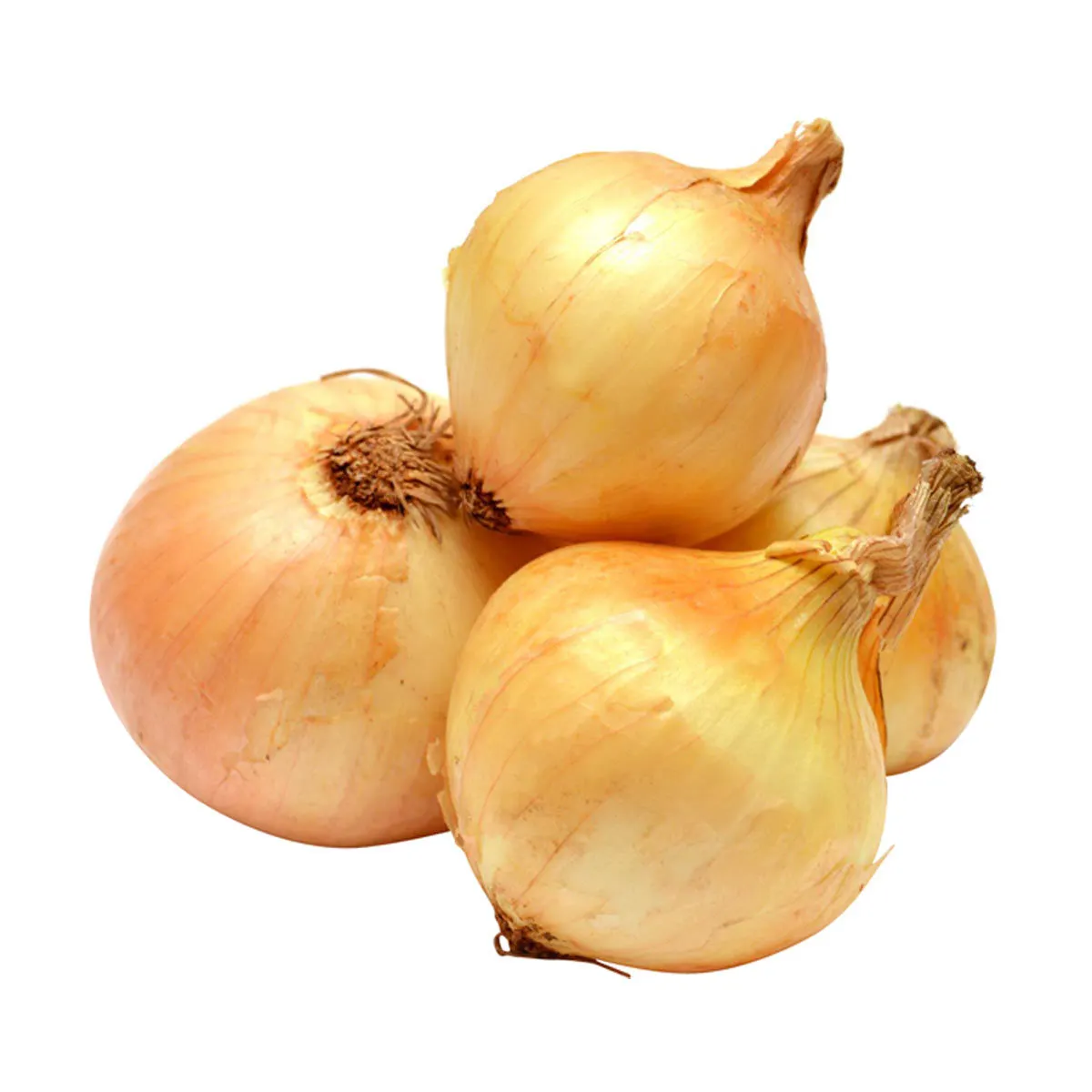 Fresh From The Start Onions, 2 lb