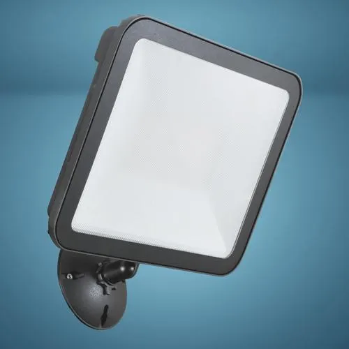 Patriot Lighting® Bronze LED Dusk-to-Dawn Outdoor Security Flood Light